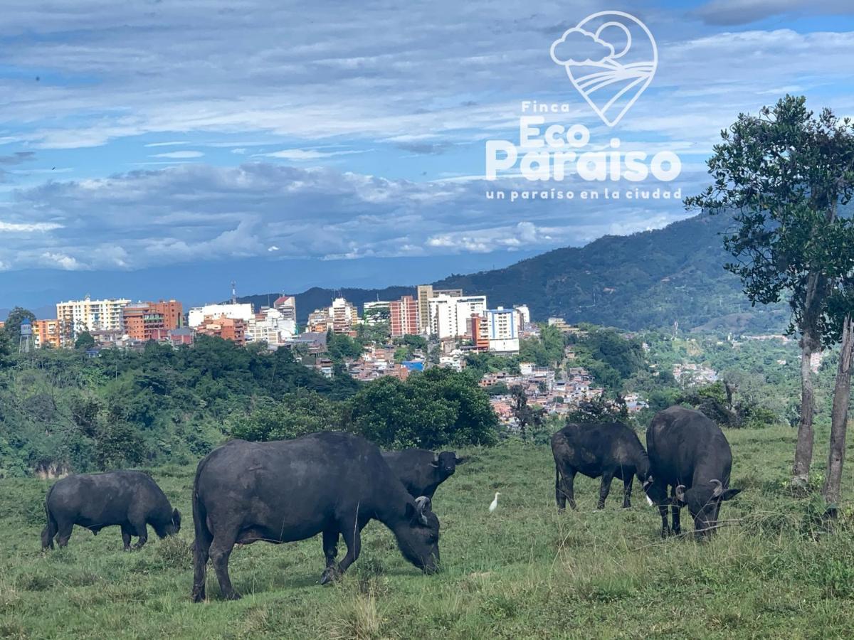 Finca Ecoparaiso Ibagué Exterior foto